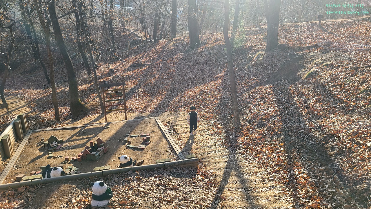 불곡산도토리유아숲체험원