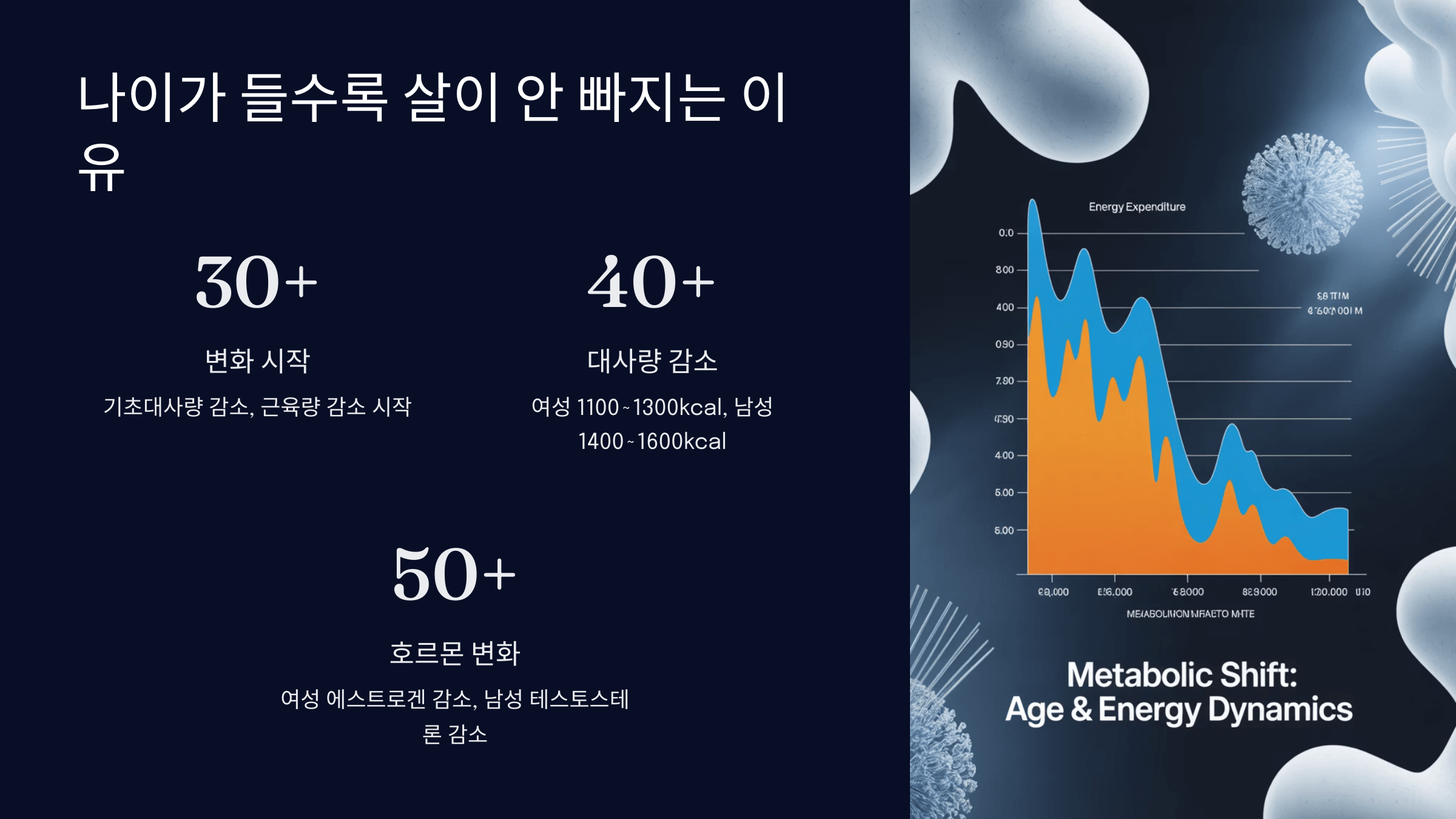 나이가 들수록 살이 잘 안 빠지는 이유