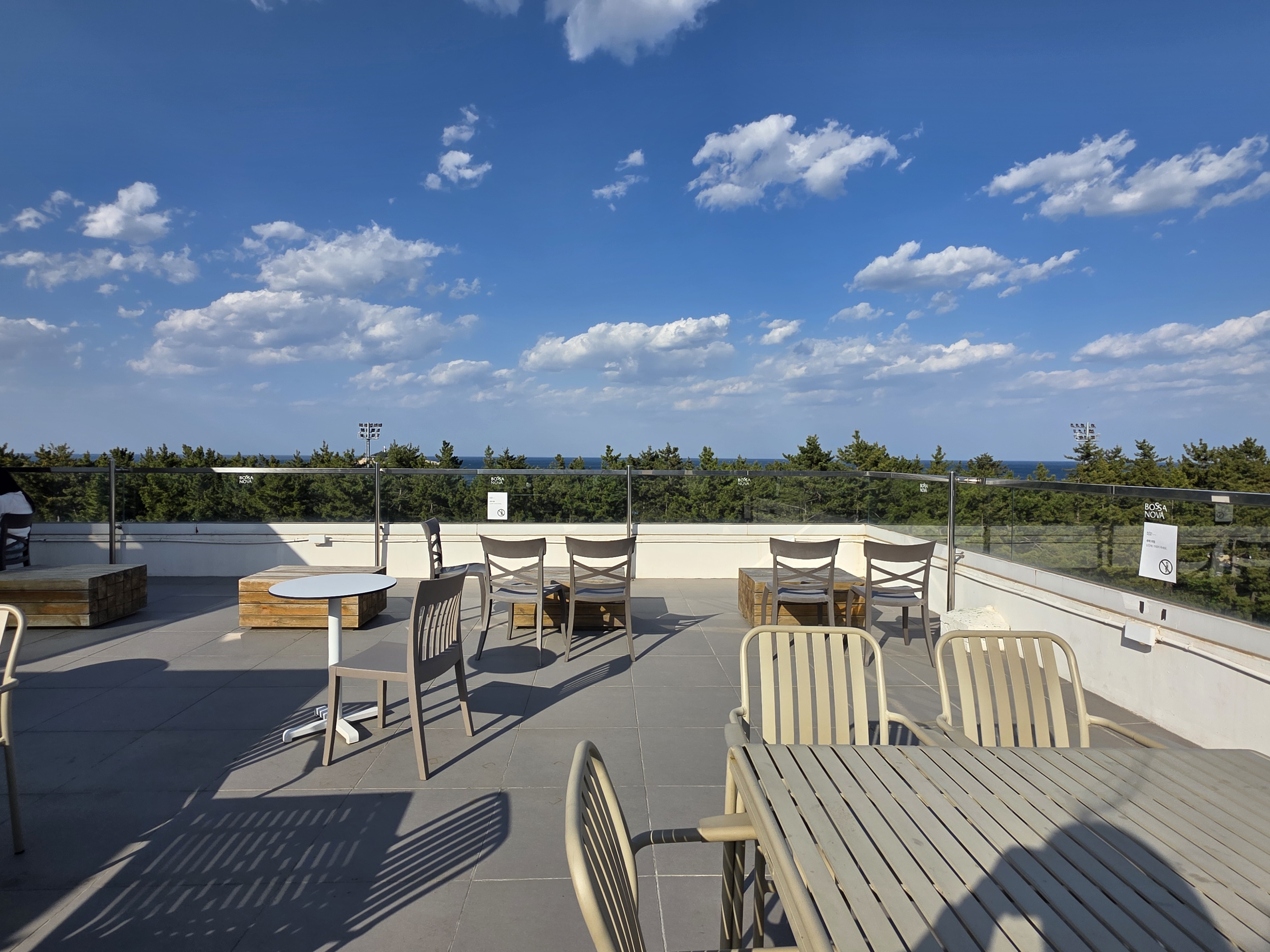 속초 애견동반 카페