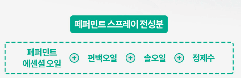 빈대 퇴치제(빈대 살충제) 순위 및 추천 TOP 5