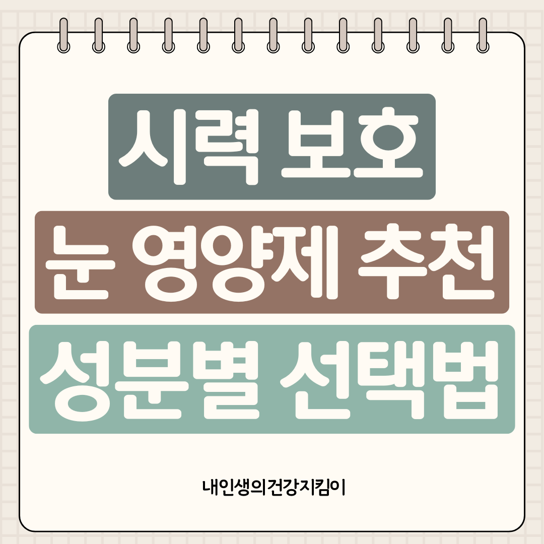 시력 보호 눈 영양제 추천 5가지 ❘ 황반변성 예방 성분별 선택법