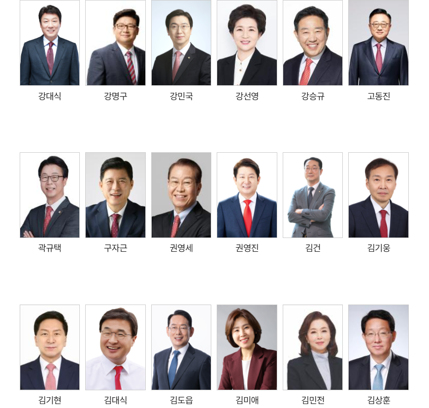 반대투표 국회의원 명단 및 사진 : 윤석열 내란 행위의 진상규명 특검