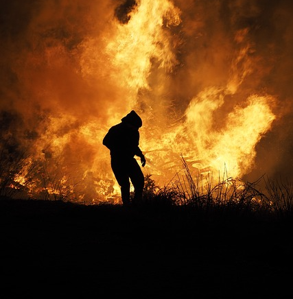 근골격계와 체온 조절: 운동 중 열 생성과 신체 균형