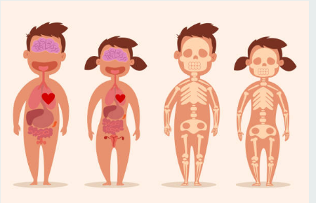 elementary student sex question