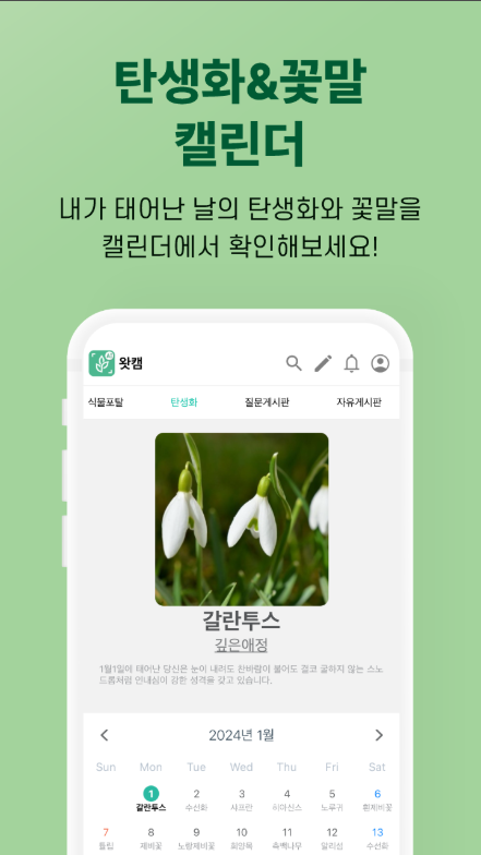 꽃 이름 찾기 어플, 휴대폰으로 꽃 사진을 찍으면 AI가 검색하고 꽃이름 확인하기