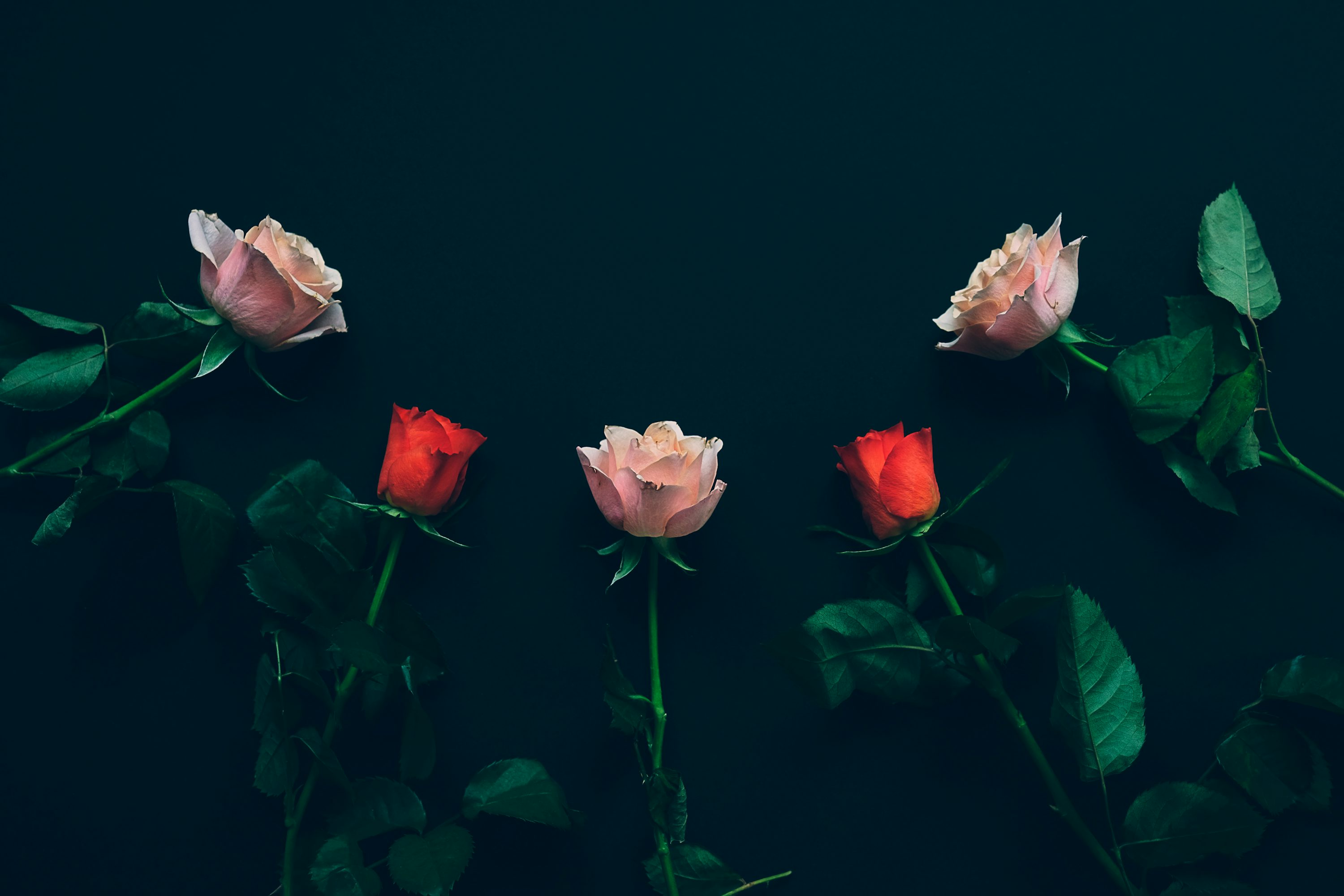 &copy; Cathal Mac an Bheatha, Unsplash