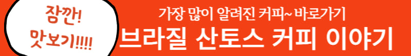 브라질 산토스
