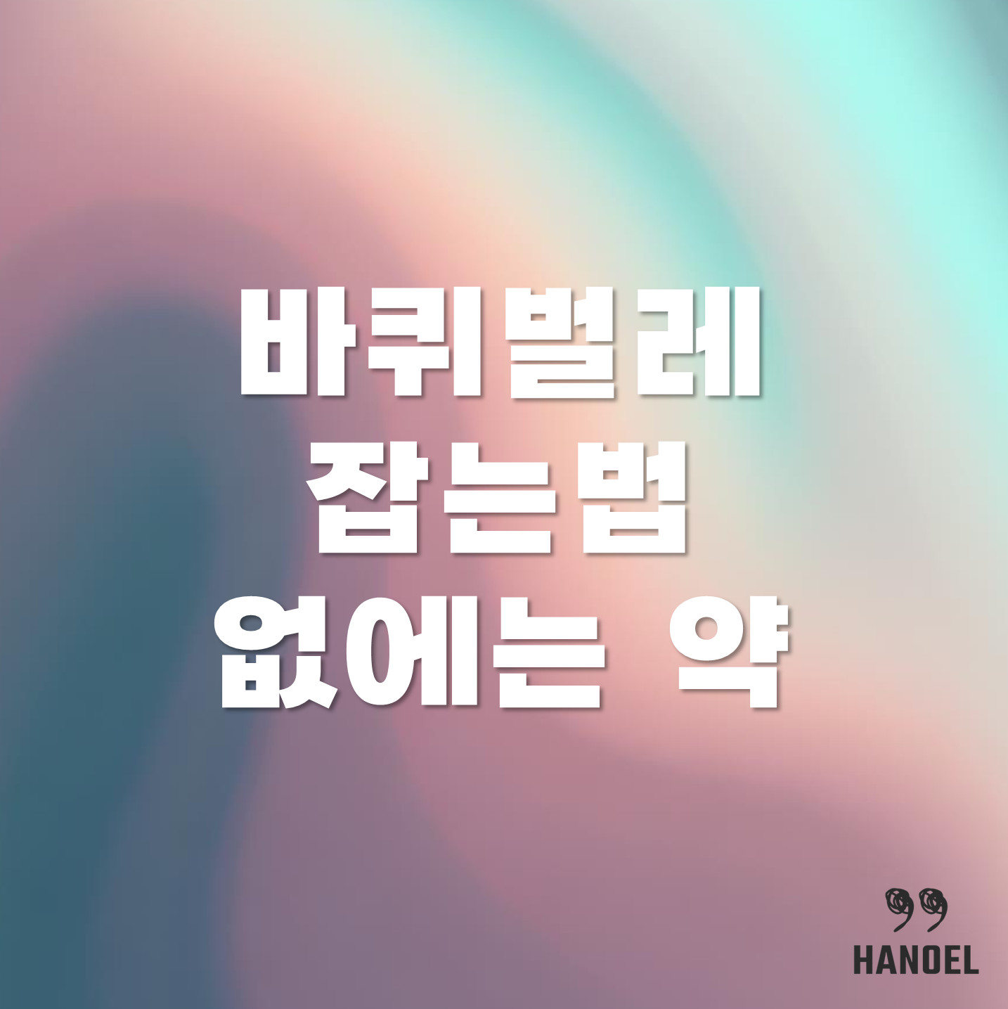 바퀴벌레 잡는법, 찾는법, 없애는 법, 없에는 약 정보