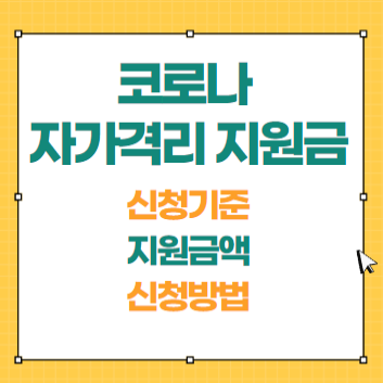 코로나 자가격리 지원금