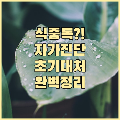 식중독 의심 증상? 자가진단 및 초기..