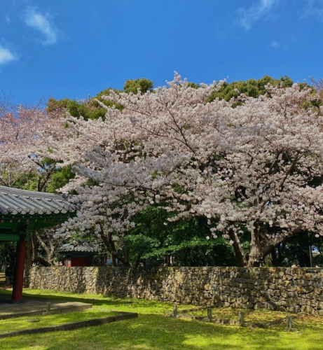 삼성혈 사진1