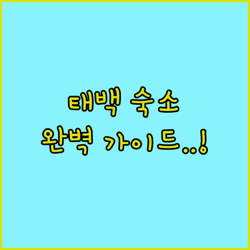 태백 가볼만한곳 근처 숙소 추천 리스..