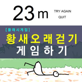 황새오래걷기 게임으로 집중력과 반사신경 키우는 방법_2