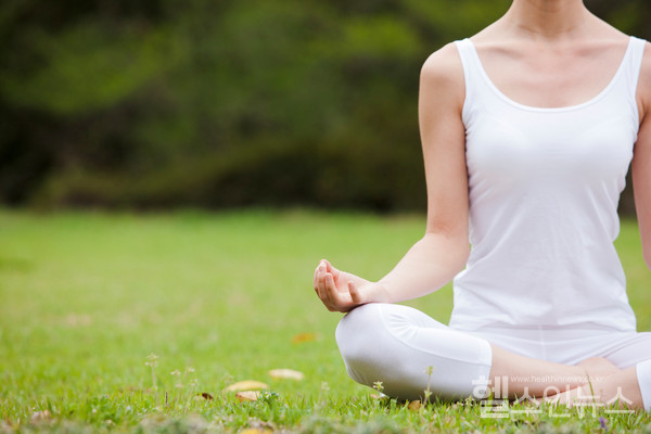 마음 챙김과 명상의 기술