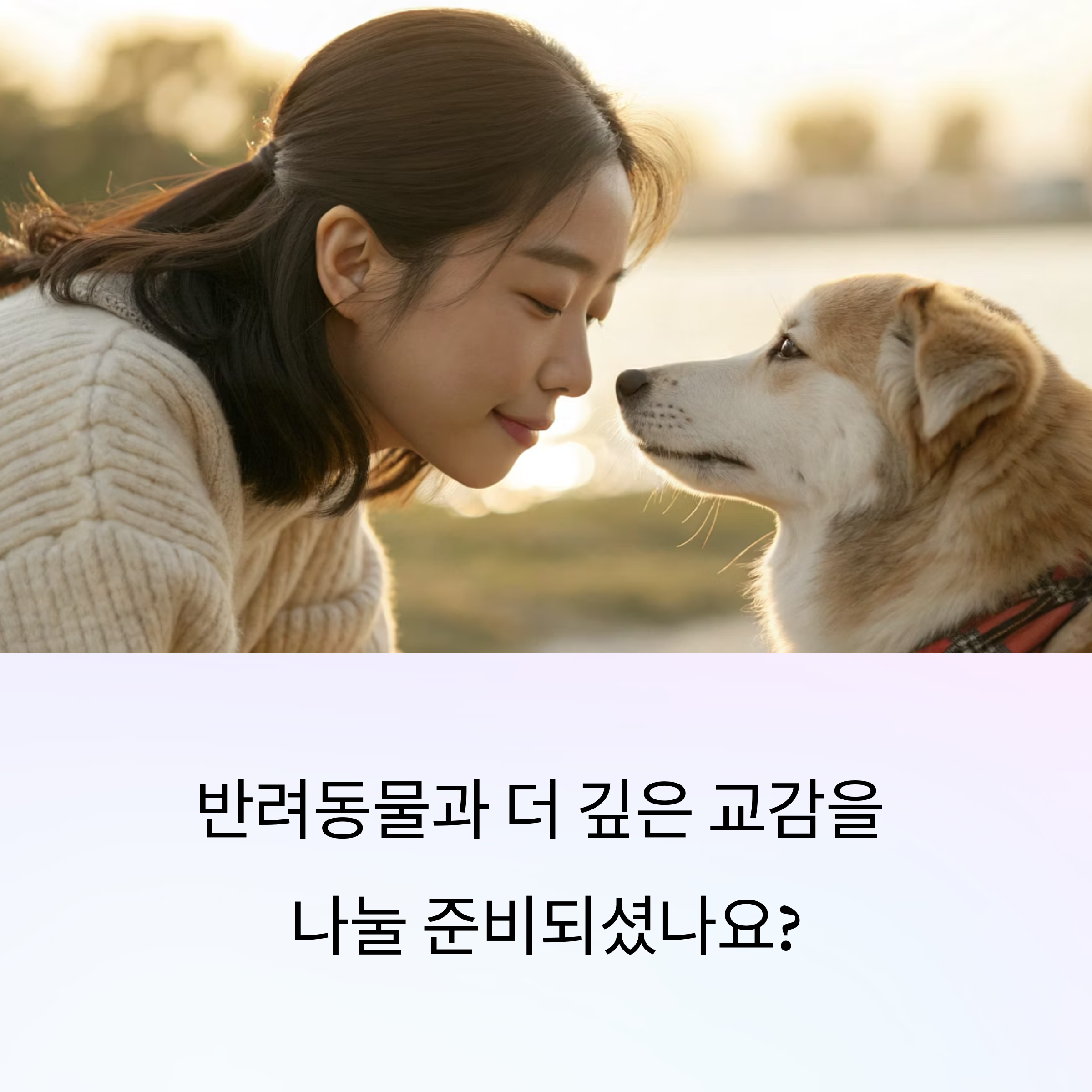 교감하는 5가지 실천법