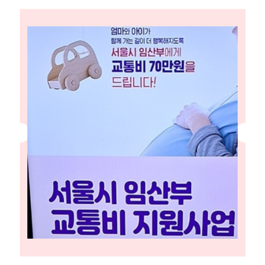 서울시 임산부 교통비 지원
