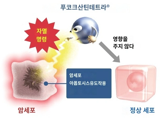 암 치료