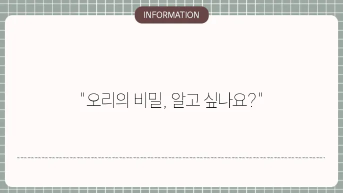 오리고기 효능과 부작용, 기름 먹어도 될까?