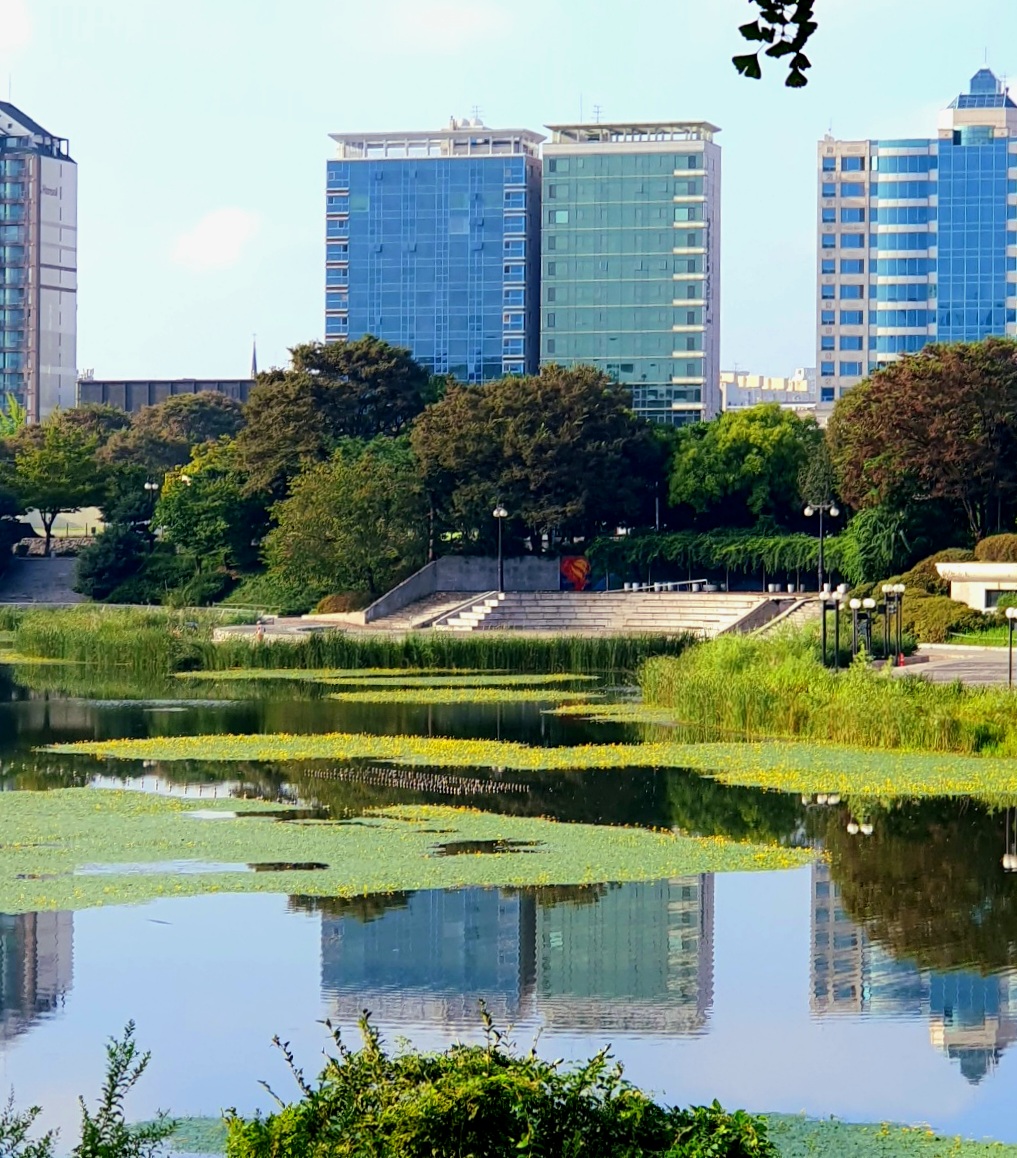 나무-사이로-건물들이-보여요.
