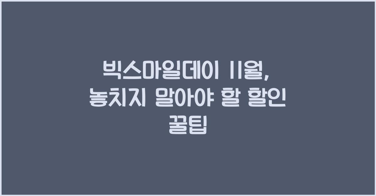 빅스마일데이 11월