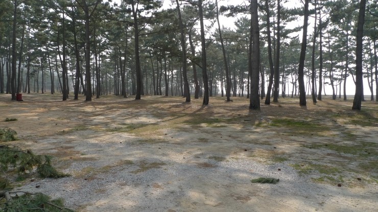 전북 고창 구시포 노을캠핑장 소개