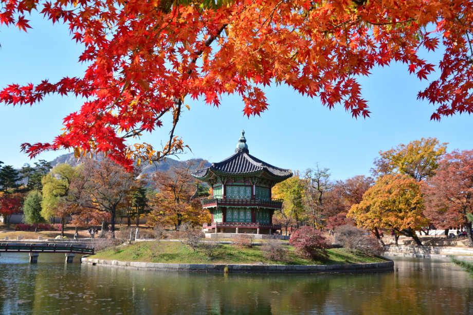 경복궁1