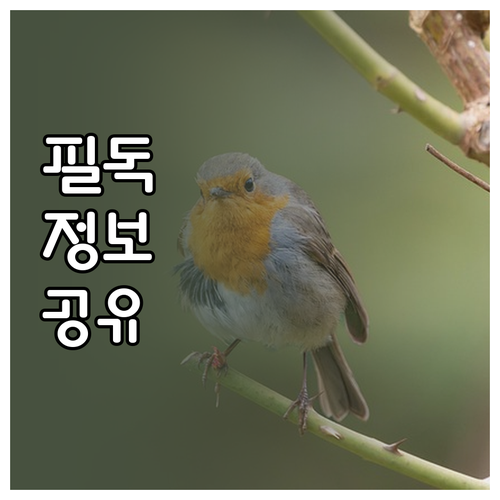 치과 건강보험 핵심 정리 임플란트 스..