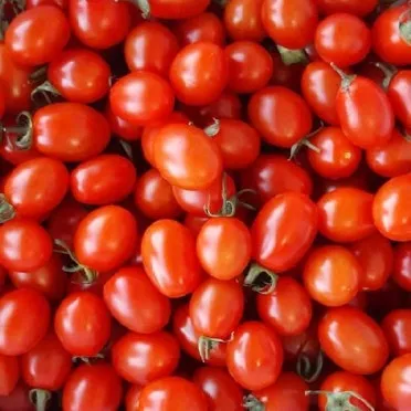 방울토마토 신선하게 보관하는 법 및 보관기간 안내_8