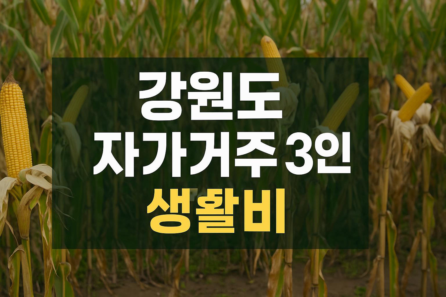 강원도 자가거주 3인 가족의 실제 지출 내역