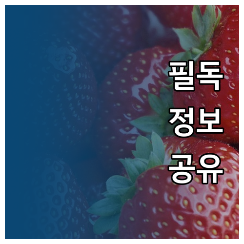 전기요금 줄이는 핵심 대기전력 측정계..