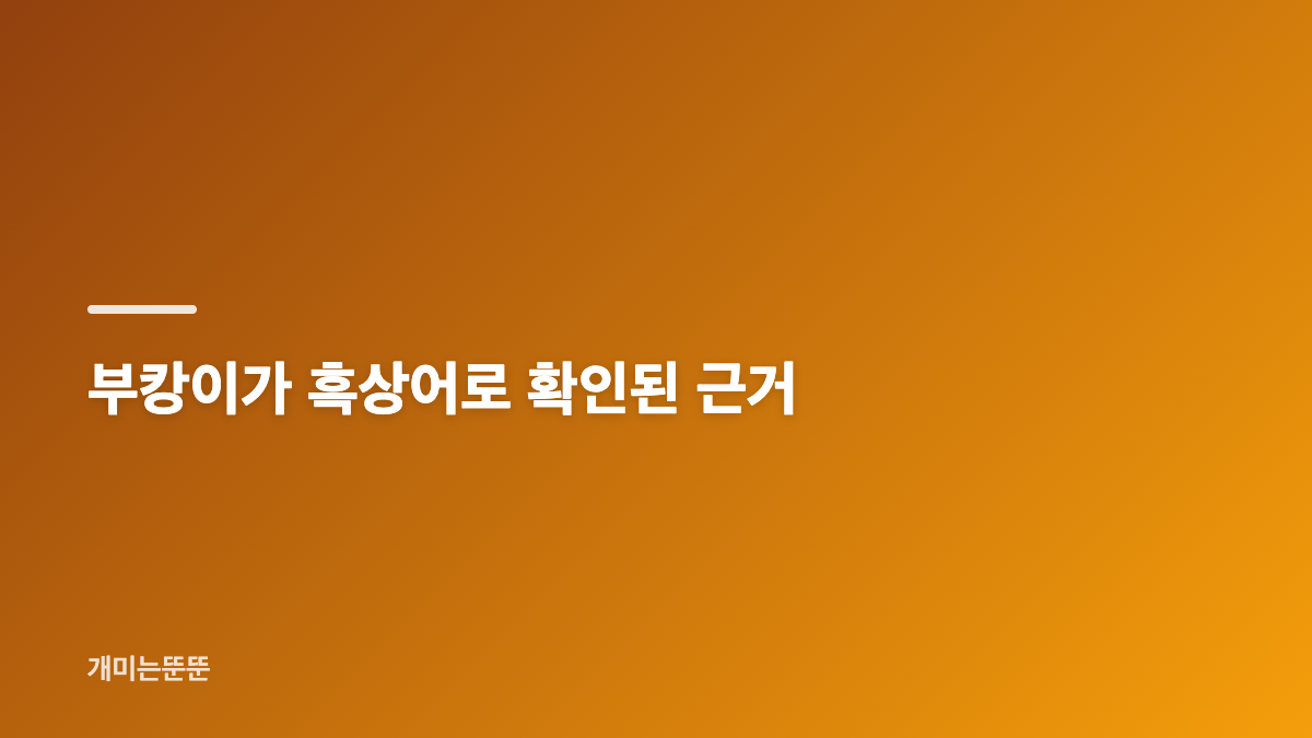 부산 북항 상어 부캉이 관찰 위치와 흑상어 정체