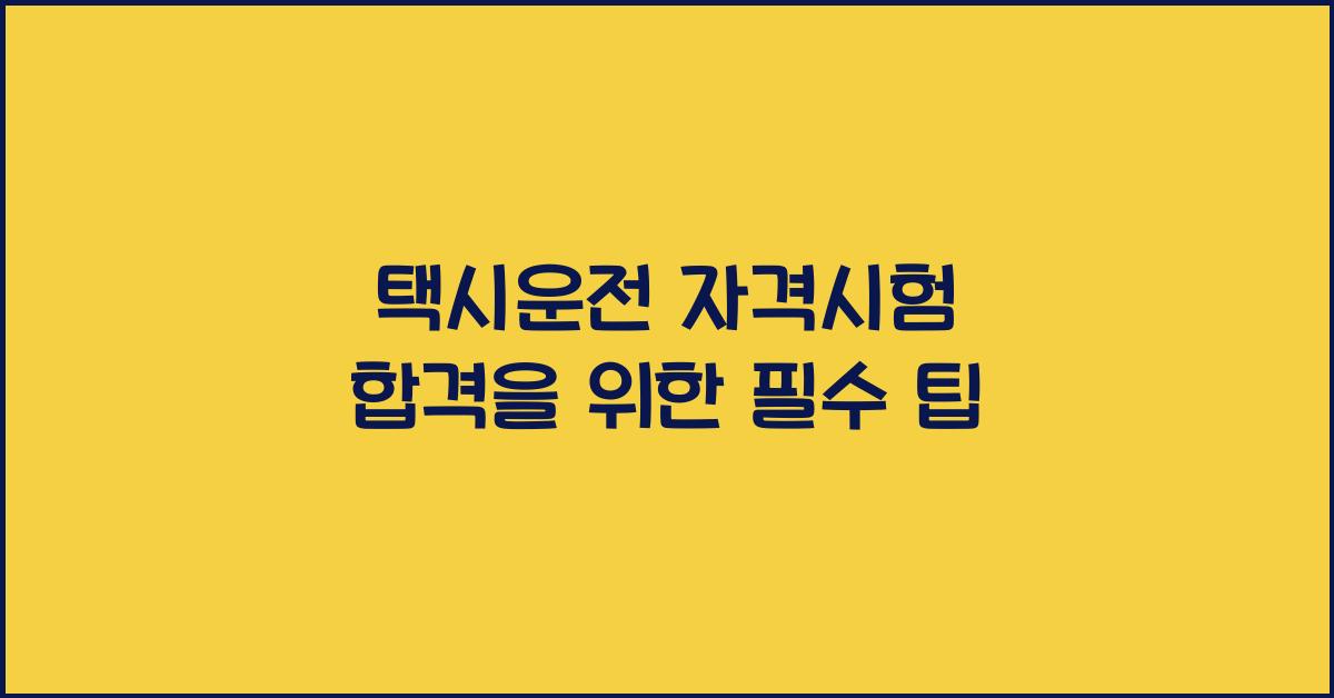 택시운전 자격시험