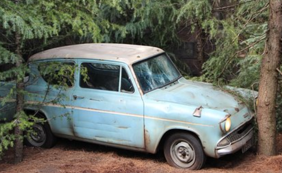 나무를-박은-하늘색-차