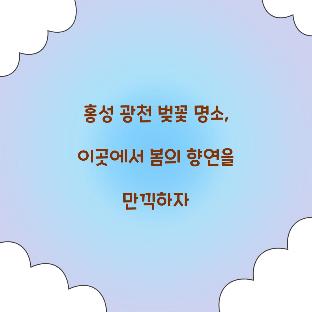홍성 광천 벚꽃 명소
