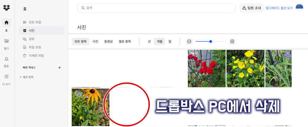 드롭박스 PC 사진 삭제