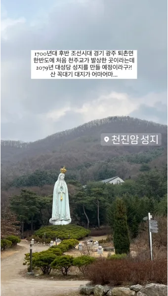 천진암 흰민들레 백양자연관찰로 괭이눈 개화_21