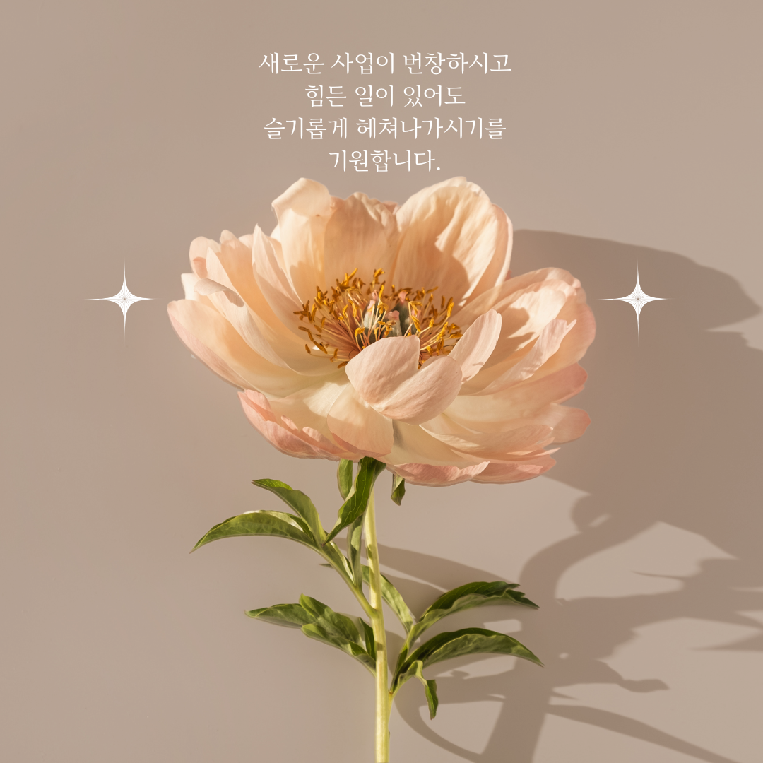 개업축하 화분 문구 인사말 모음