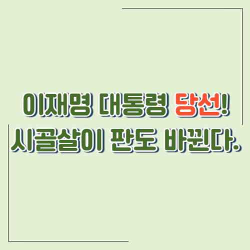 이재명 대통령 당선! 햇빛연금부터 농민수당까지…이제 시골살이 해볼만한 이유