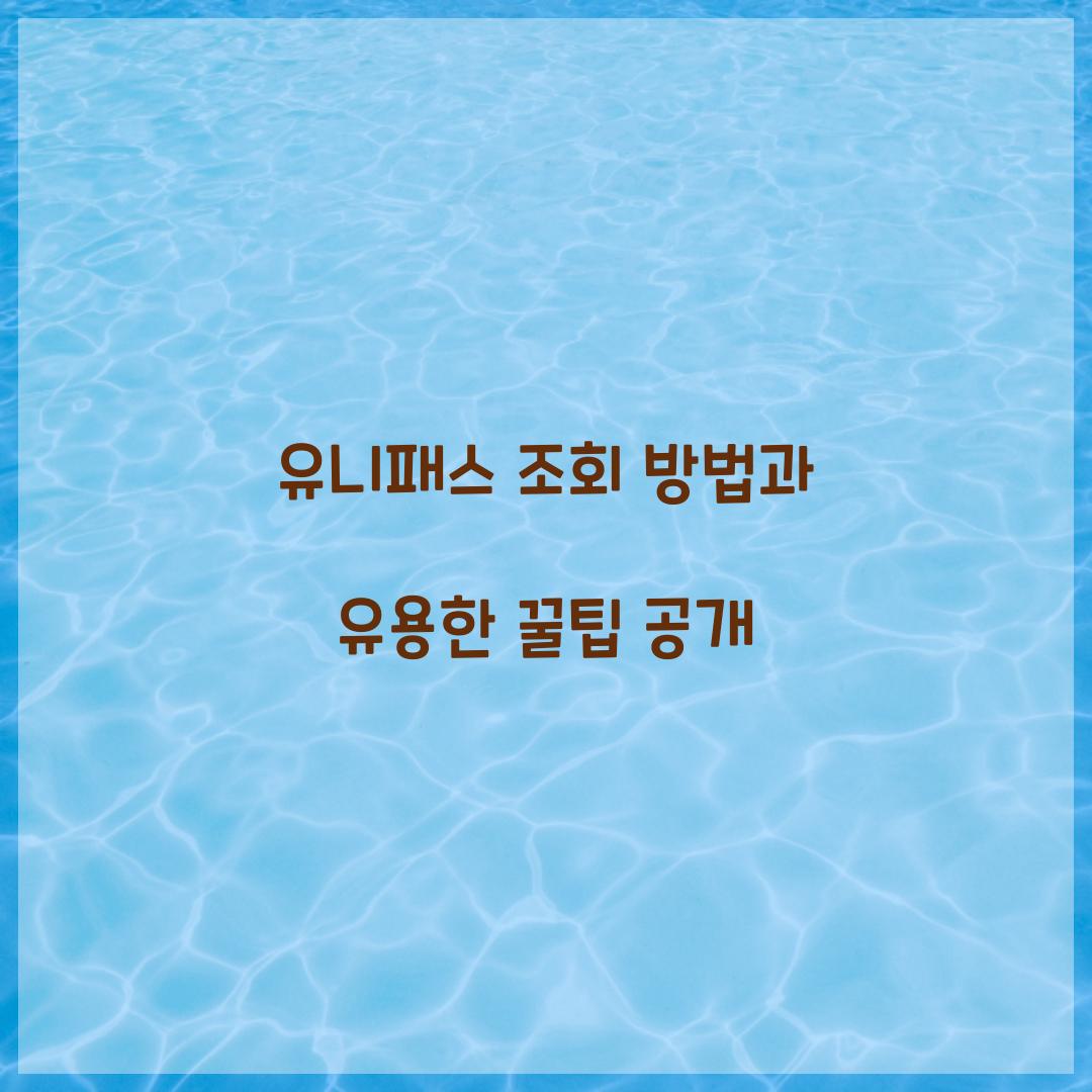 유니패스 조회 방법