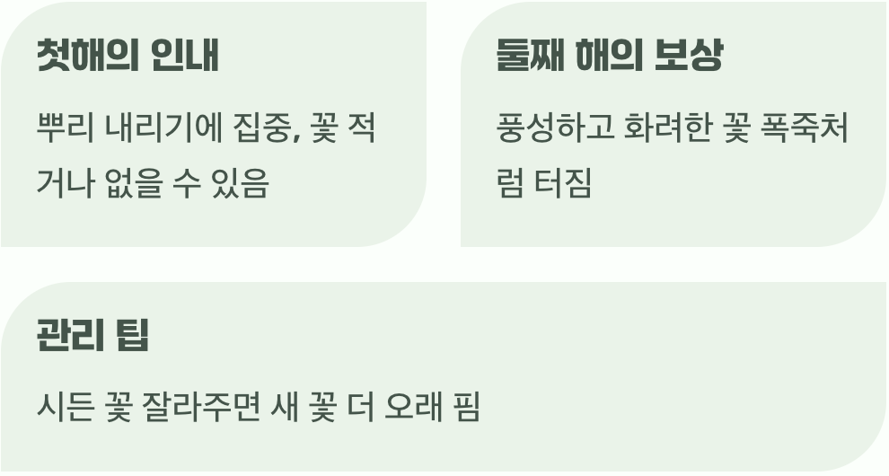 기다림 끝에 만나는 첫 꽃송이