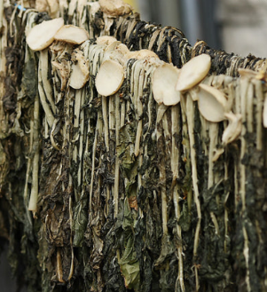 시래기 효능 무청 부작용 고르는법