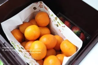 과일 보관 바나나 사과 토마토 숙성 냉장 기준표_19