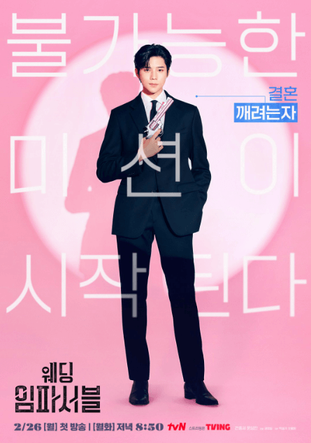 웨딩 임파서블 출연진 (문상민)