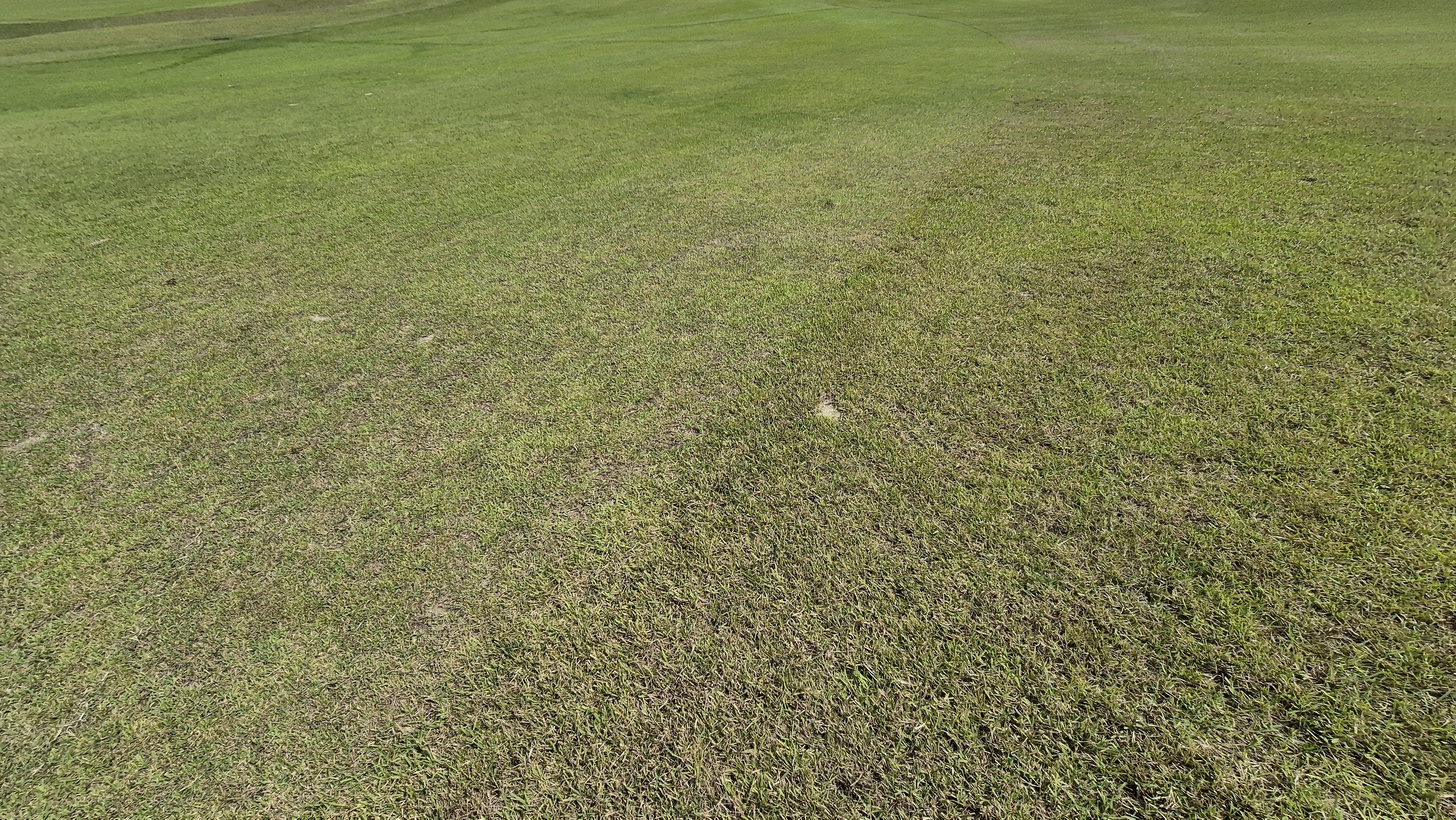 플라밍고cc 듄스-링크스 코스 라운드 후기