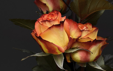 생일 축하 답글 센스 있게 보내는 법