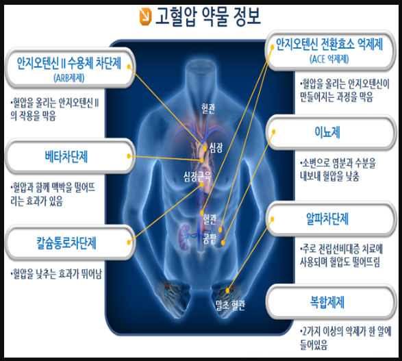 고혈압 약 복용 혈압 수치