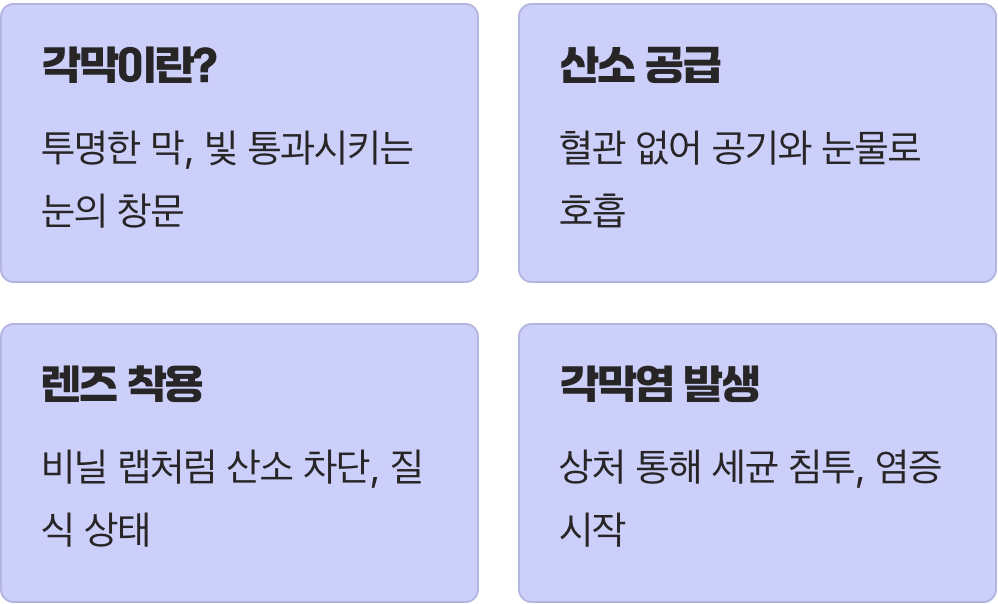 눈의 창문, 각막의 비명