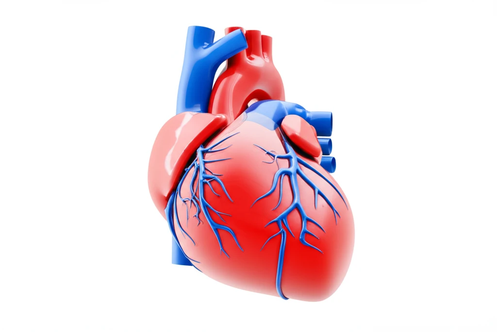고혈압 Q&A: 궁금증 해결하고 건강..
