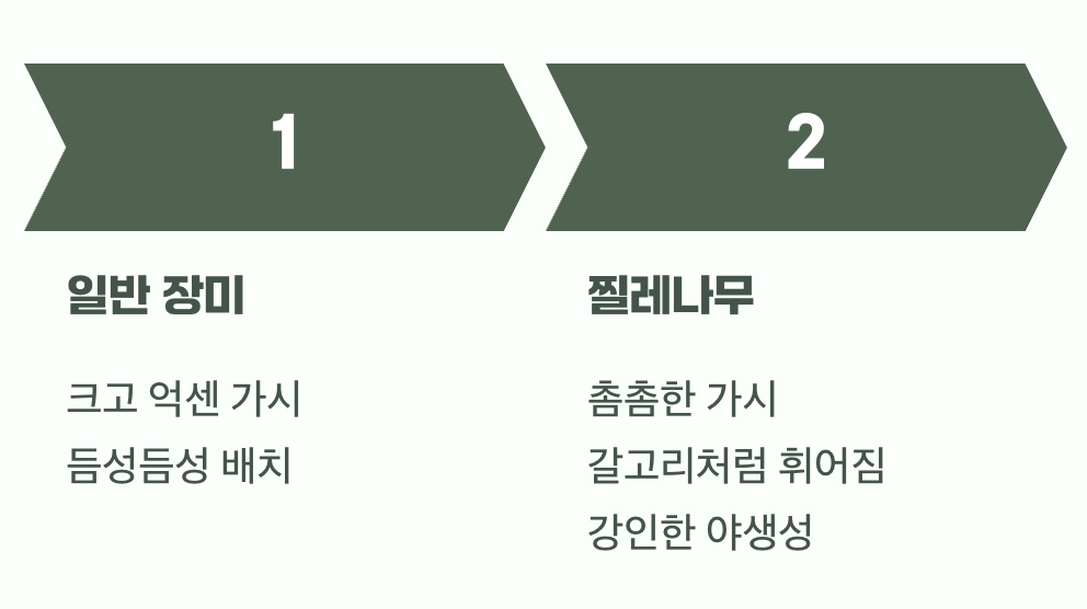 가시 속에 숨겨진 또 다른 힌트