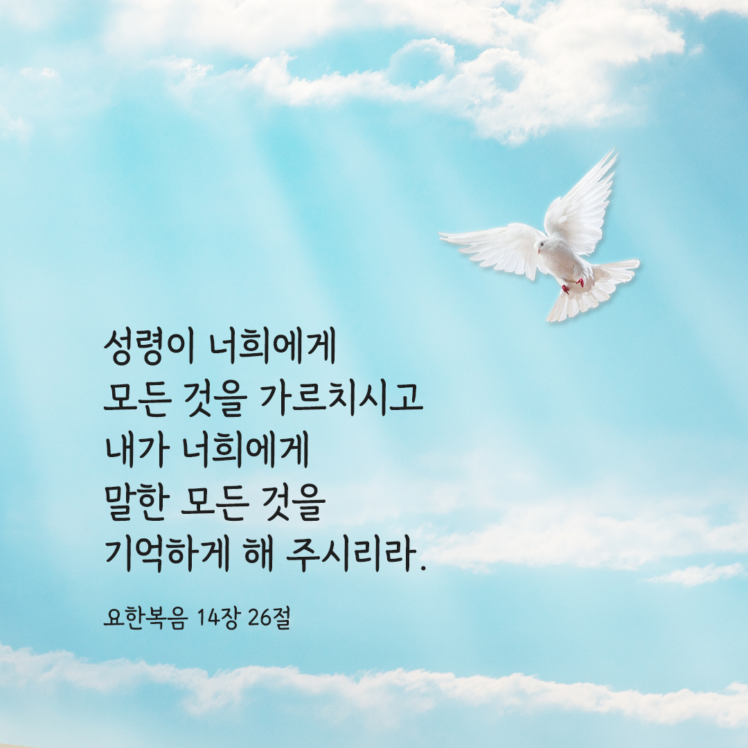 성령이 너희에게 모든 것을 가르치시고 내가 너희에게 말한 모든 것을 기억하게 해 주시리라. (요한 14,26) 요한복음 성경 말씀 카드 이미지 다운로드